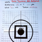 Schussbild auf 25 Meter Gamo Dynamax .22 Multi Shot